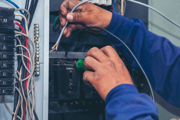Best Electric Panel Repair  in Archie, MO